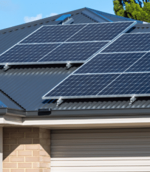 What’s New at REC: Alpha Pro M & More!