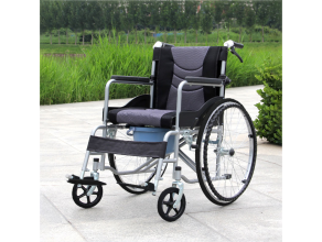 Test xe lăn có bô vệ sinh S213-3+D