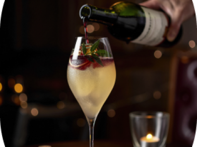 Đào tạo chuyên môn